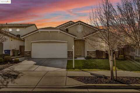 Maple, OAKLEY, CA 94561