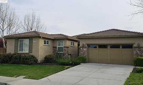 Coriander, BRENTWOOD, CA 94513