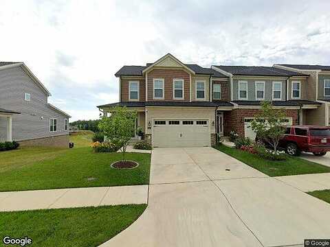 Smokebush, STAFFORD, VA 22554