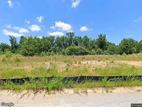 Old Dogwood, JONESBORO, GA 30238