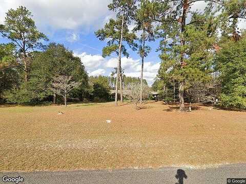 Runs Branch, NEWINGTON, GA 30446