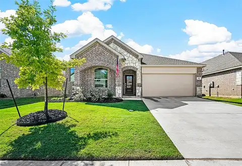 Sassafras, PRINCETON, TX 75407