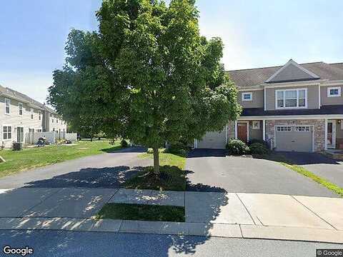 Red Maple, MOUNTVILLE, PA 17554