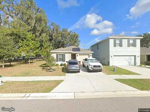 Water Chestnut, TAMPA, FL 33637
