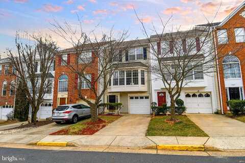 Lanae, MANASSAS PARK, VA 20111