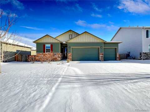 Birchdale, WINDSOR, CO 80550