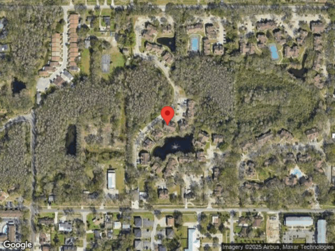 Fancy Finch, TAMPA, FL 33614