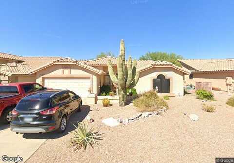 Lavender, GOLD CANYON, AZ 85118