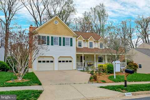 Vervain, SPRINGFIELD, VA 22152