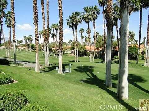 Daffodil, PALM DESERT, CA 92211