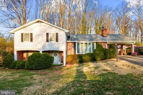 Deland, SPRINGFIELD, VA 22152