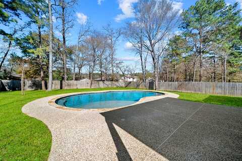 Dillon, MAGNOLIA, TX 77354