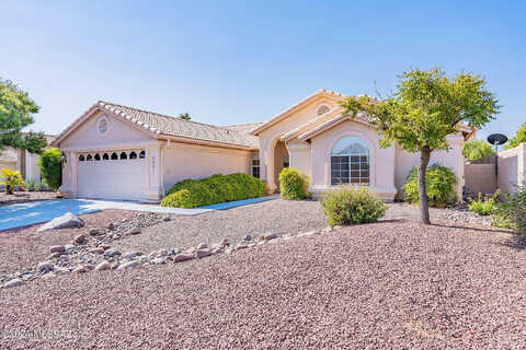 Cat Claw, TUCSON, AZ 85739