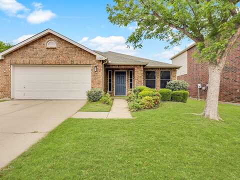 Photinia, DENTON, TX 76208