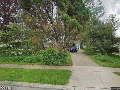 Bald Cypress, LEVITTOWN, PA 19054