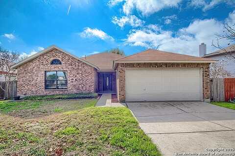Wayward, SCHERTZ, TX 78154