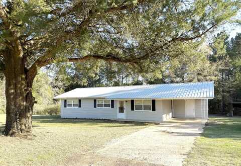 Scott, PONCE DE LEON, FL 32455