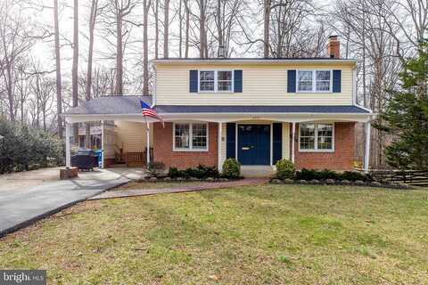 Red Fox, ANNANDALE, VA 22003