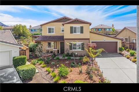 Gilia, HEMET, CA 92543