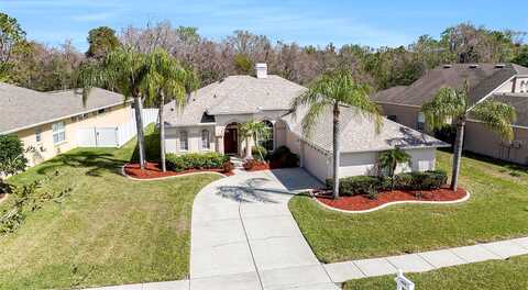 Whittner, LAND O LAKES, FL 34639