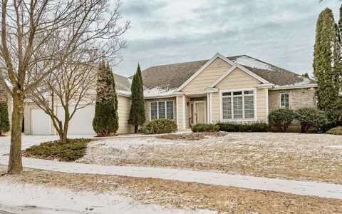 Eagle, ROCHESTER, MN 55902