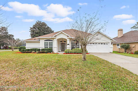 Aster, SAINT JOHNS, FL 32259