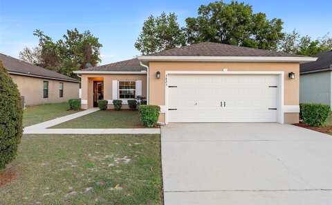 Arborvitae, DELAND, FL 32724