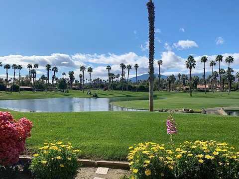 Crocus, PALM DESERT, CA 92211