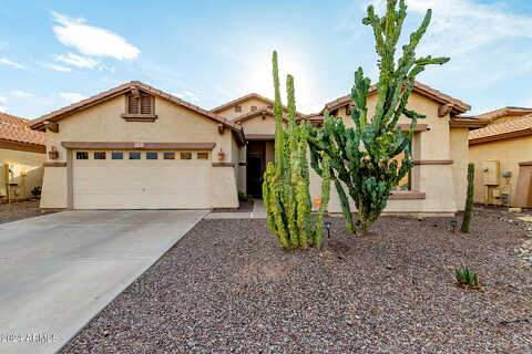 Ashley, CHANDLER, AZ 85286