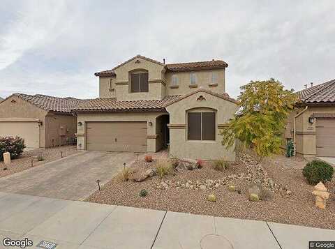 Ficus, GILBERT, AZ 85298