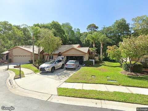 Darston, PALM HARBOR, FL 34685