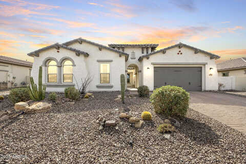 Starflower, QUEEN CREEK, AZ 85142