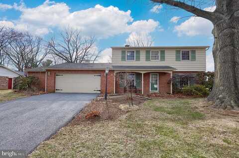 Palomino, LANCASTER, PA 17601