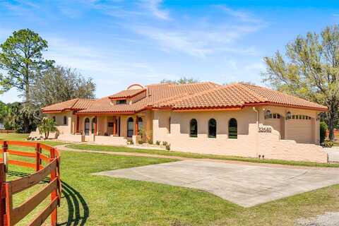 Webbs, SORRENTO, FL 32776