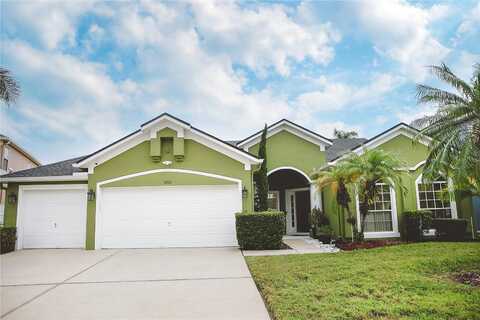 Hanging Moss, KISSIMMEE, FL 34741
