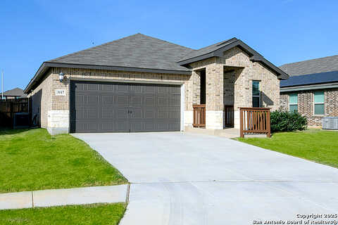 Muscat, SCHERTZ, TX 78154