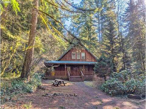 Henry Creek, RHODODENDRON, OR 97049