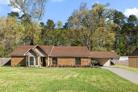 Michaelangelo, NEW CANEY, TX 77357
