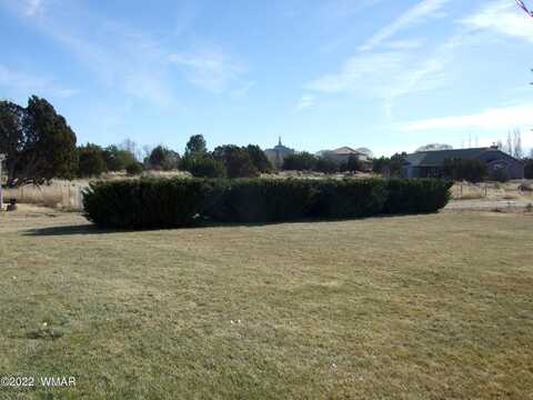 Vista, SNOWFLAKE, AZ 85937