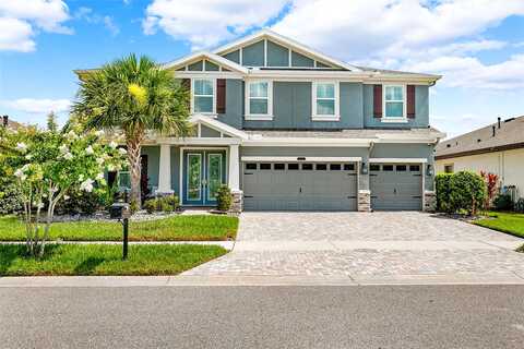 Briske Morning, LAND O LAKES, FL 34637
