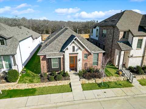 Rain Lily, ARGYLE, TX 76226