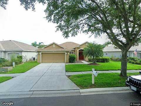 Morden Blush, LUTZ, FL 33558