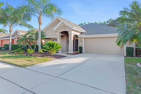 Weeping Elm, PORT ORANGE, FL 32128