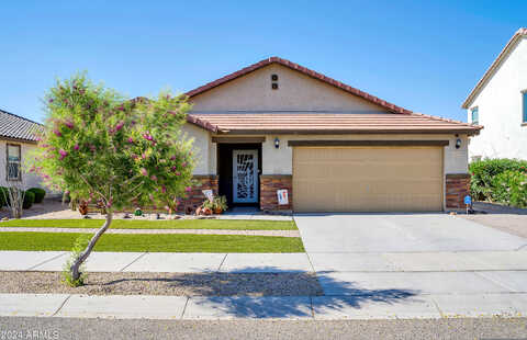 Fetlock, SURPRISE, AZ 85387