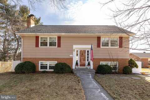Lewis, WINCHESTER, VA 22601