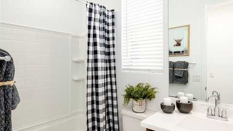 Royal Palm, WADDELL, AZ 85355