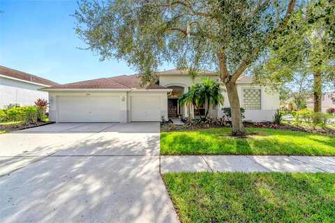 Falconridge, LITHIA, FL 33547