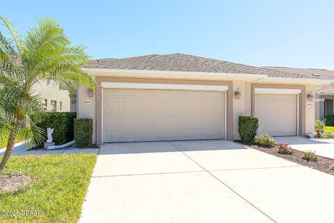 Areca Palm, PORT ORANGE, FL 32128