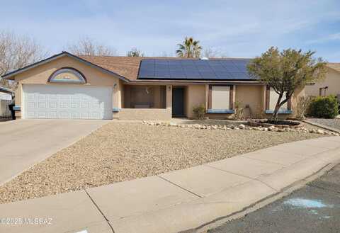 Hummingbird, THATCHER, AZ 85552