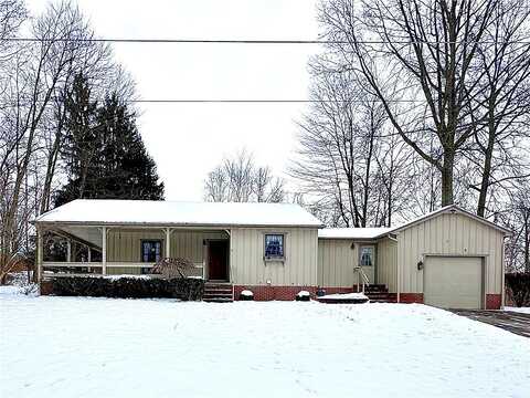 Acorn, NEW CASTLE, PA 16101